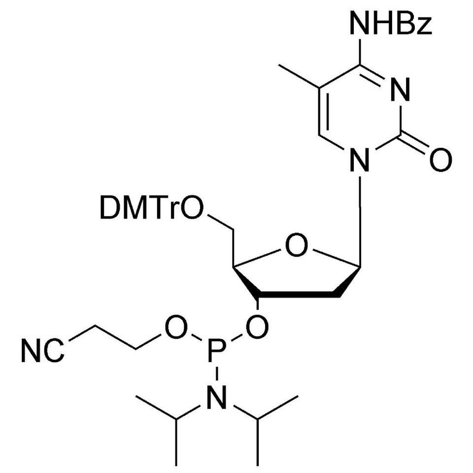 dC (Bz) (5-Me) CE-Phosphoramidite